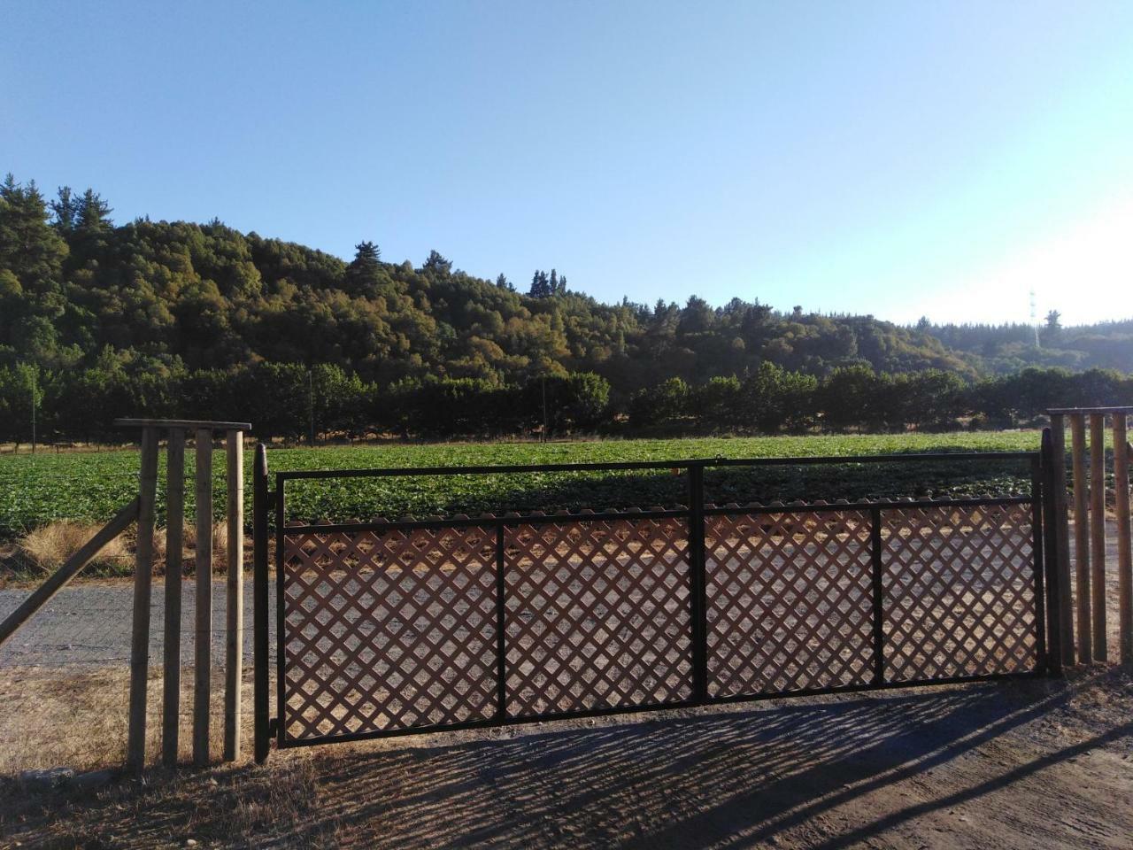 Ciervos * Parral